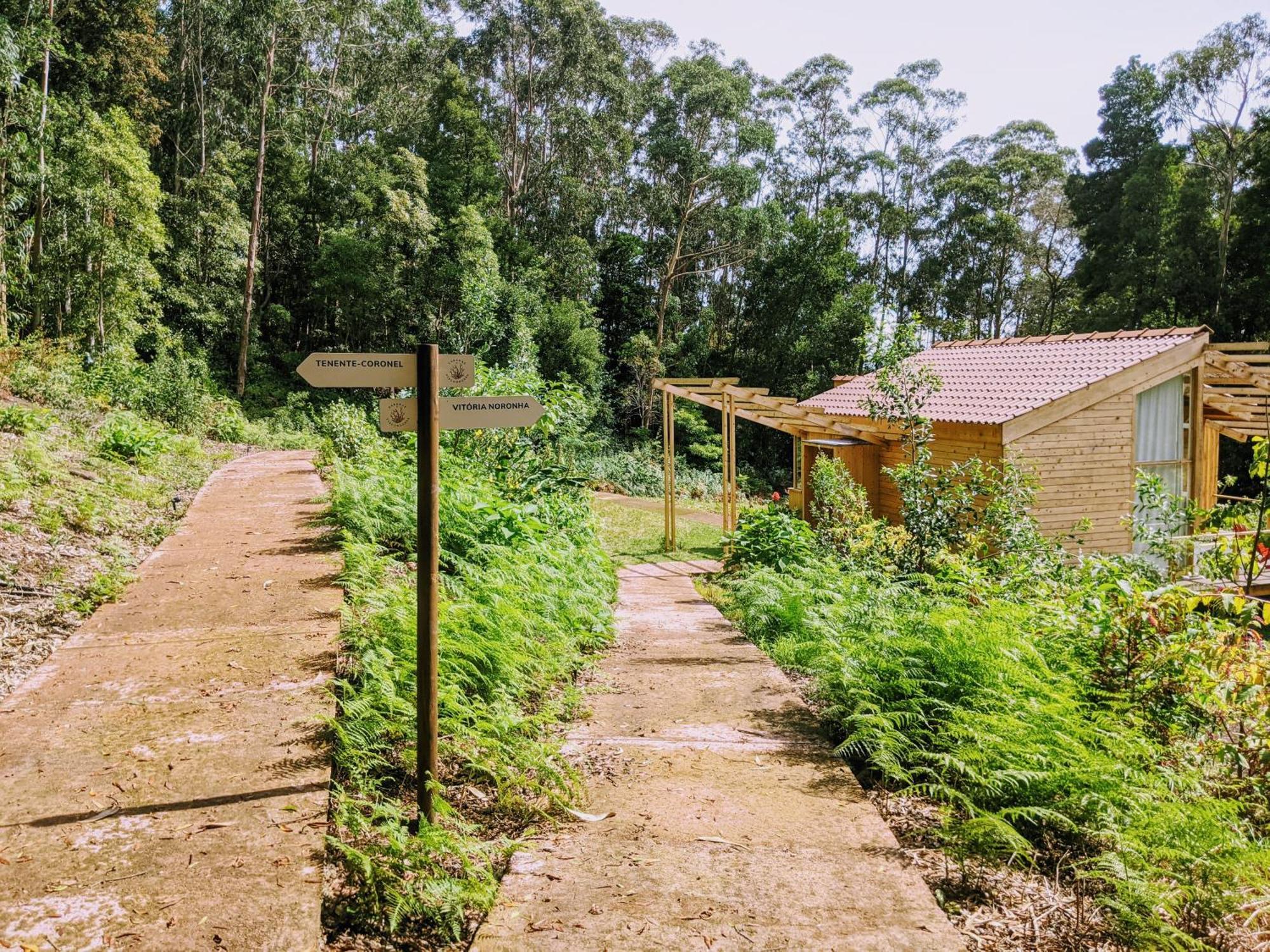 Cabanas Da Viscondessa Urzelina Zewnętrze zdjęcie